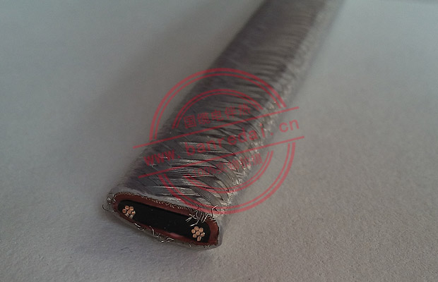 中溫自限溫電伴熱帶細節